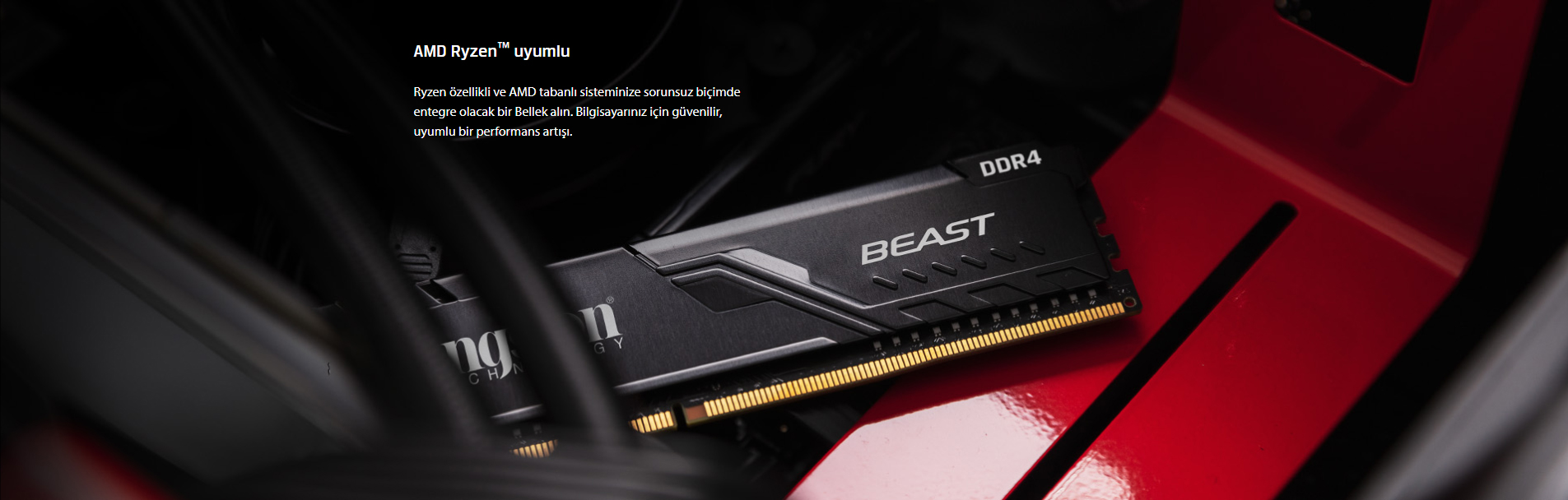 Kingston Ram